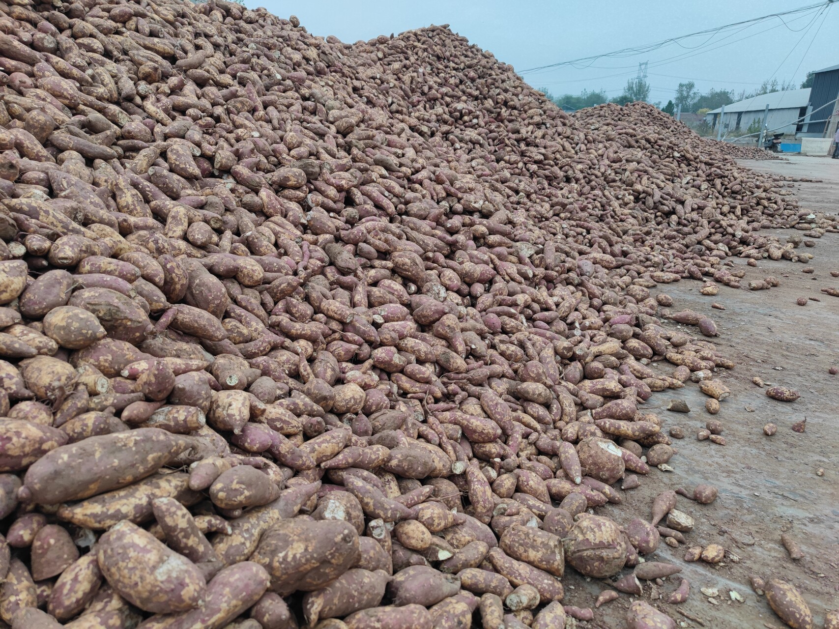 豫如丰（郑州）商贸有限公司